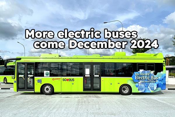 LTA to deploy more electric buses come December 2024