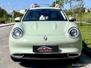 ORA Good Cat Electric Sunroof thumbnail