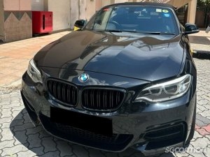 BMW 2 Series 218i Convertible thumbnail