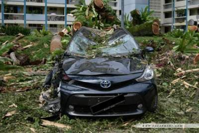 Car sharing in Singapore: Let's talk about insurance for drivers