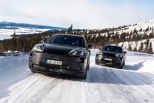 Cayenne speeds up project development with virtual testing