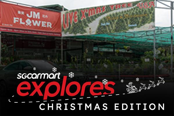 Sgcarmart Explores: 2025 Christmas Edition!