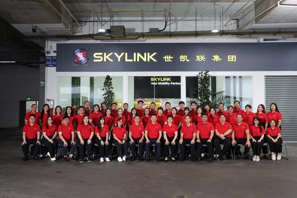 Skylink takes to the skies