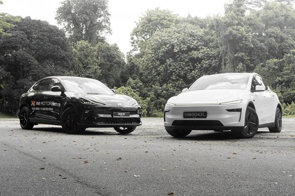 IM6 Luxury vs Tesla Model Y RWD 110